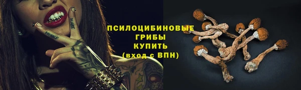 твердый Балабаново