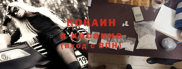 индика Балахна